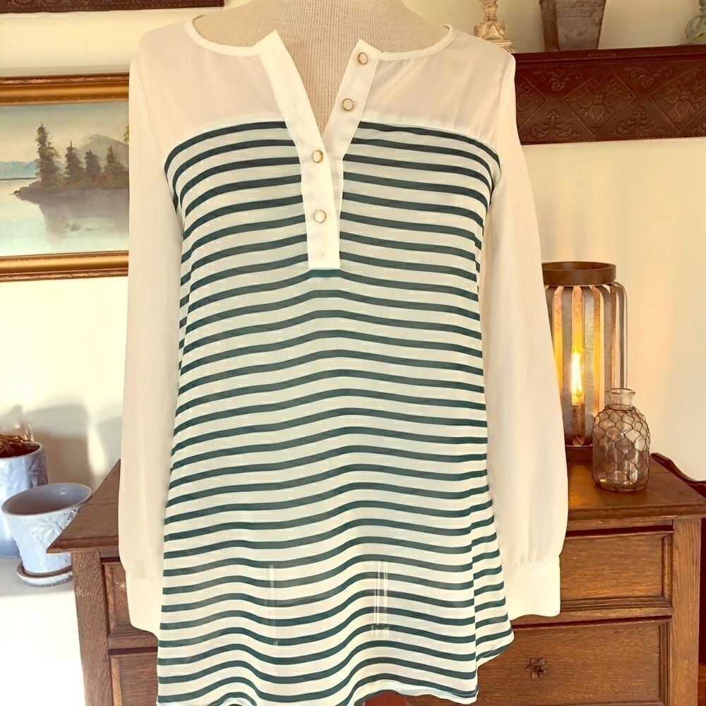 Charming Charlie Green and White Sheer Blouse